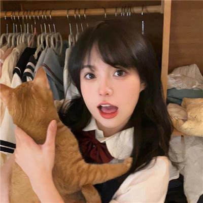 爱情领域2